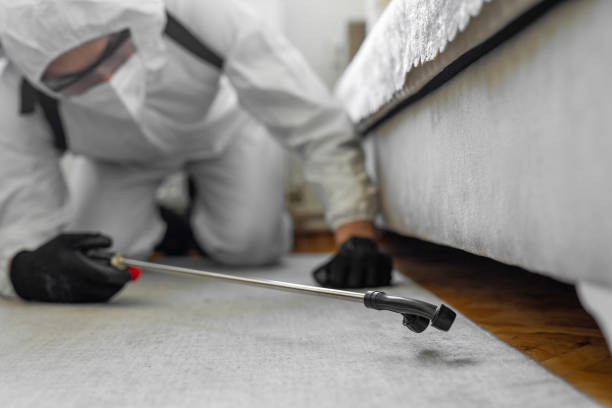Professional Bed Bug Control technician working in Richmond Heights, FL