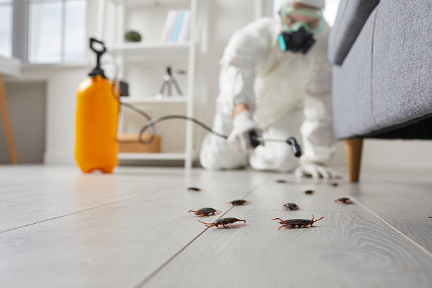 Trusted Cockroach Control service in Richmond Heights, FL - Nex Pest Control